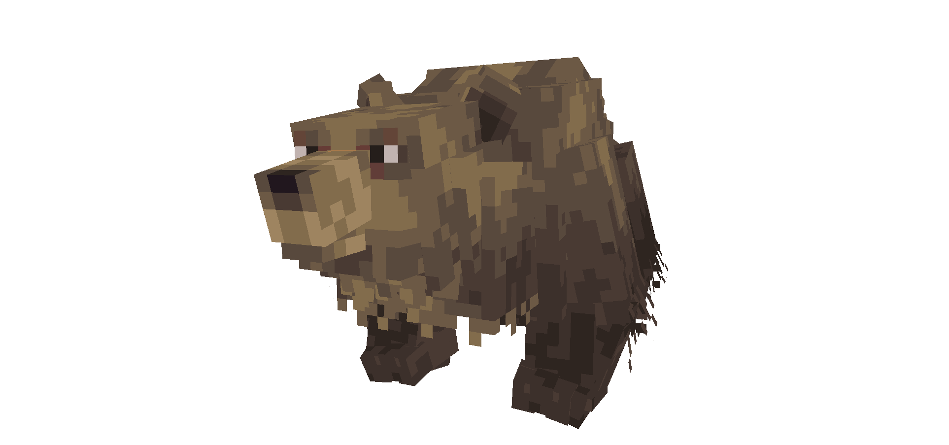 Grizzly Bear