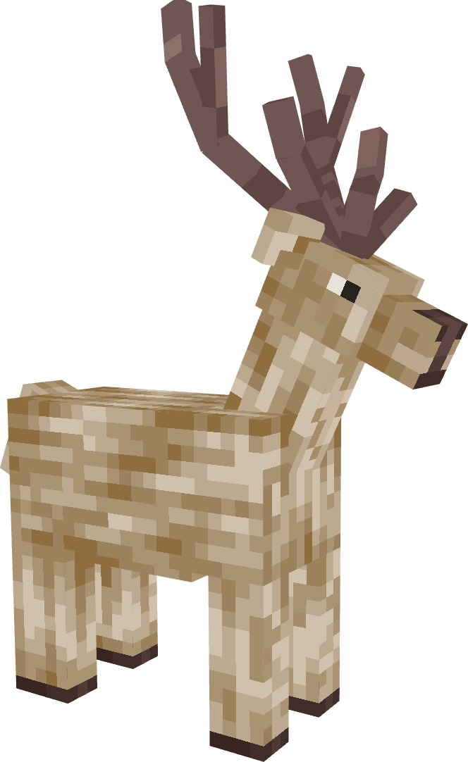 Deer