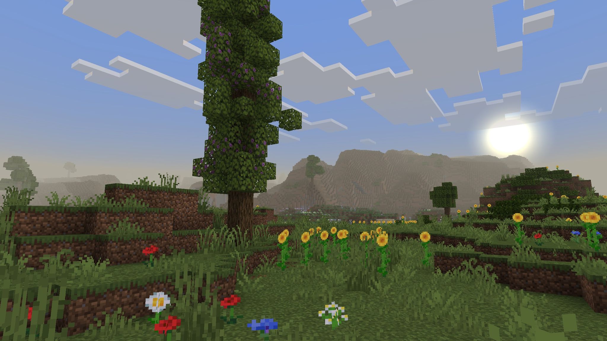 Flower Forest