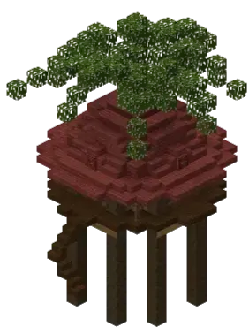 NPC Structures