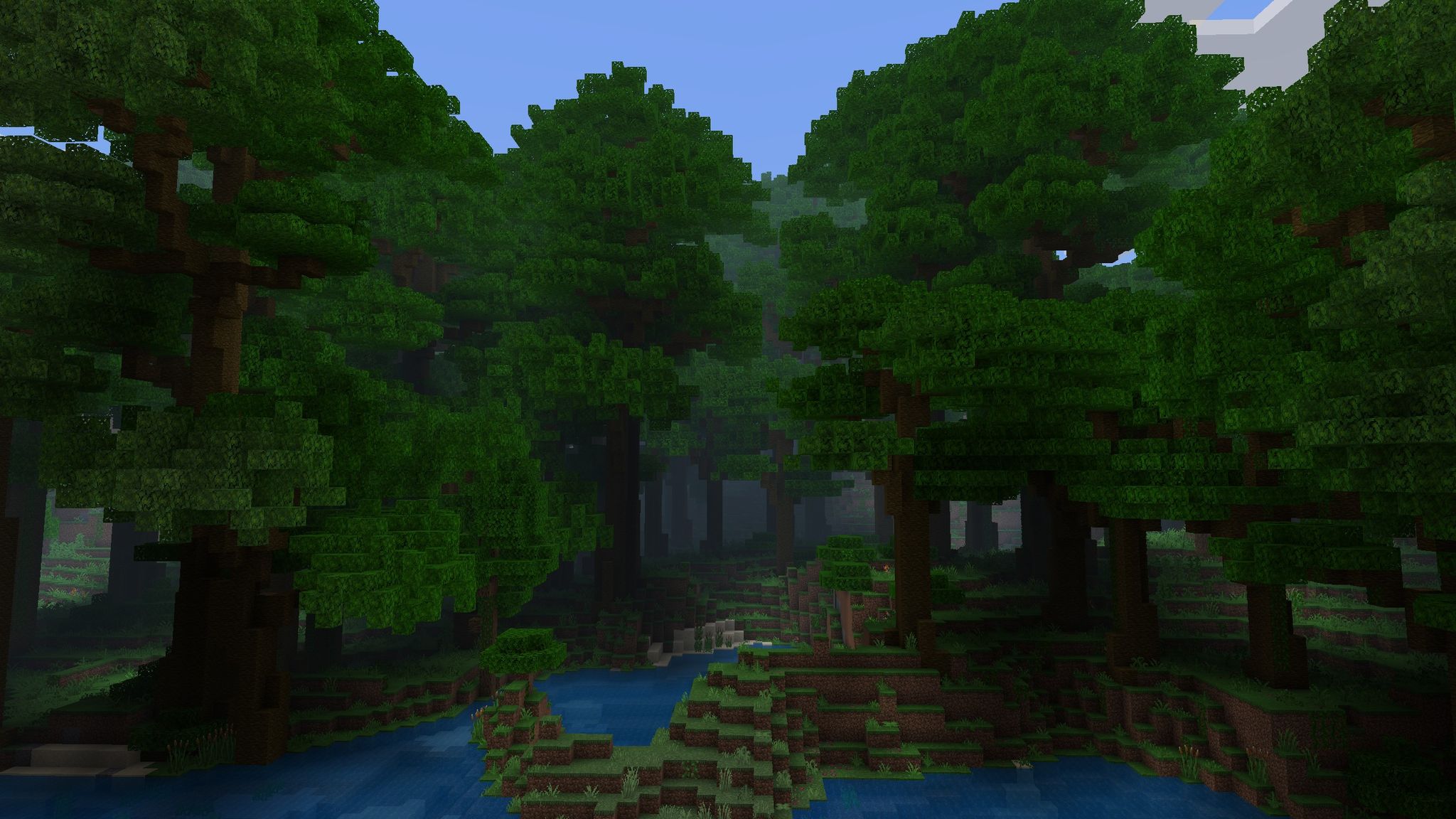 Jungle