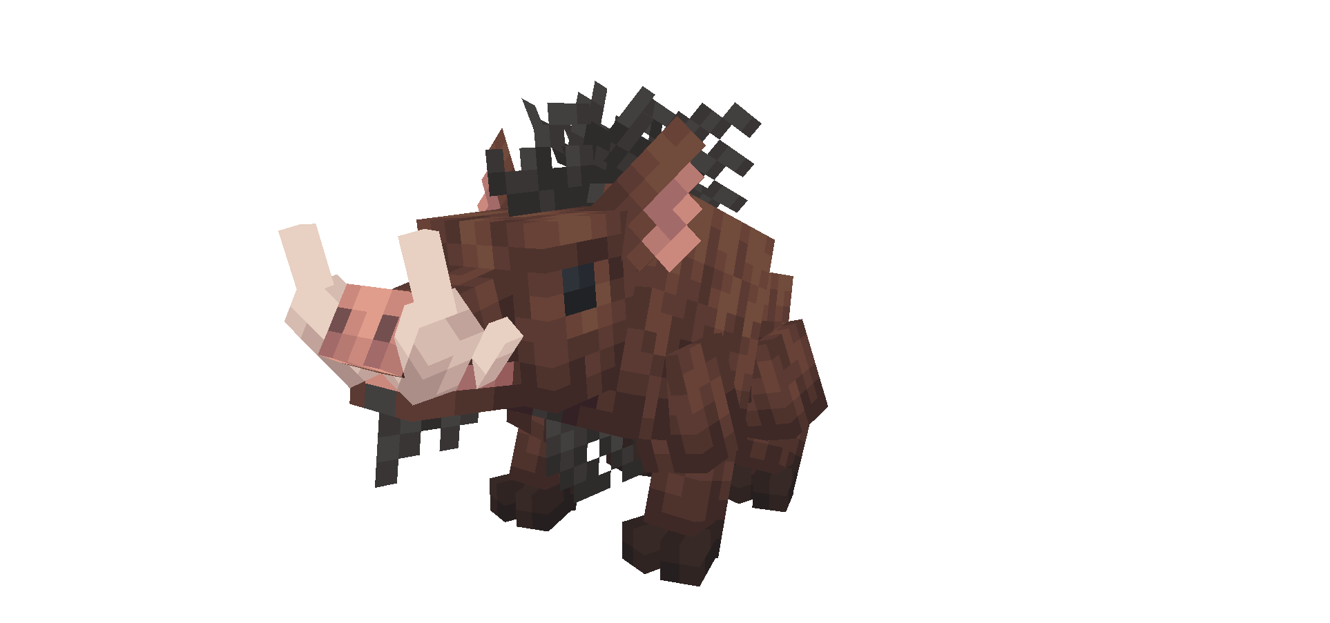 Boar
