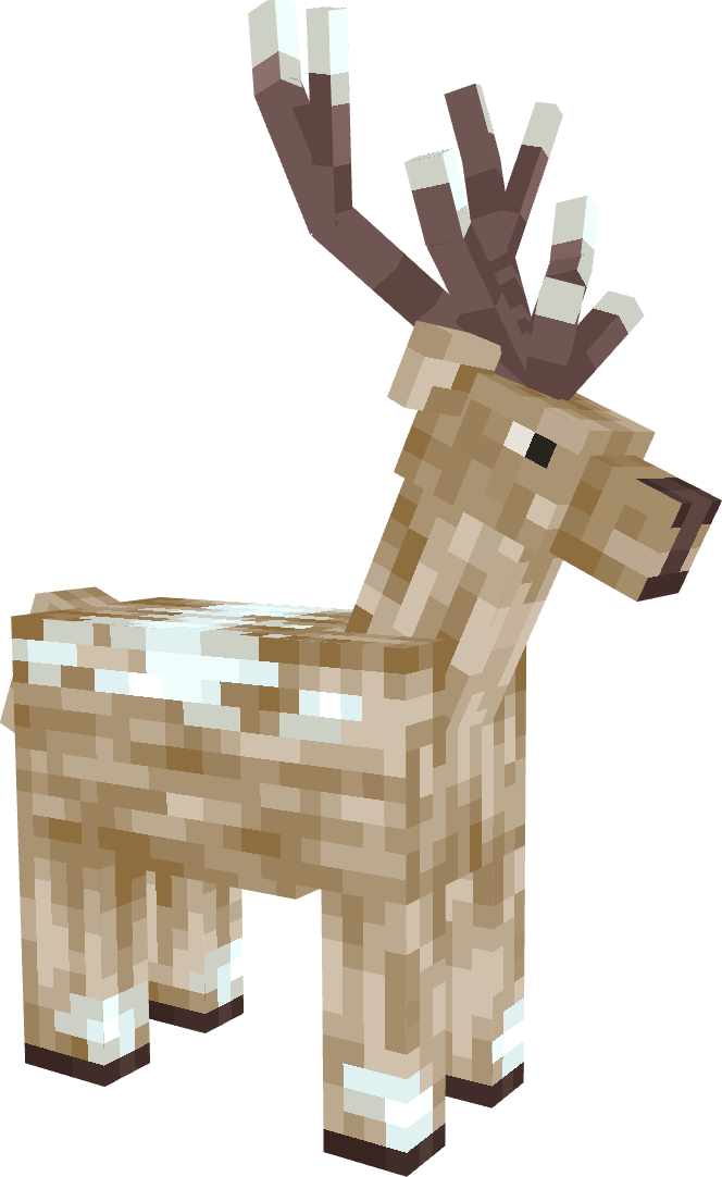 Deer