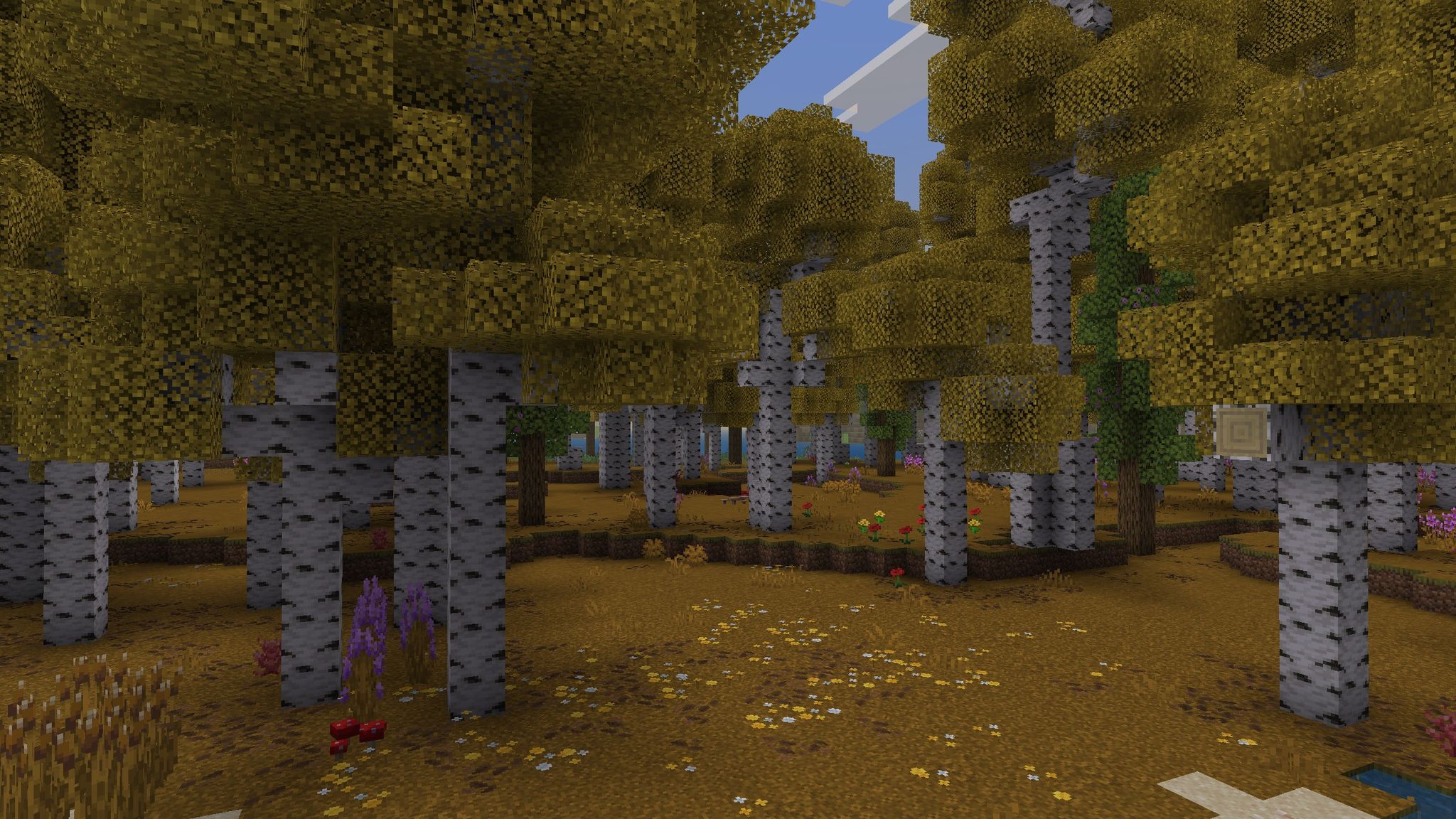 Birch Biomes