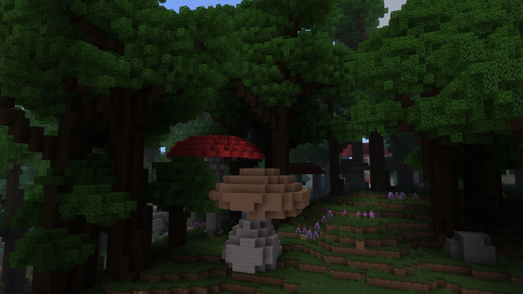 Roofed Forest