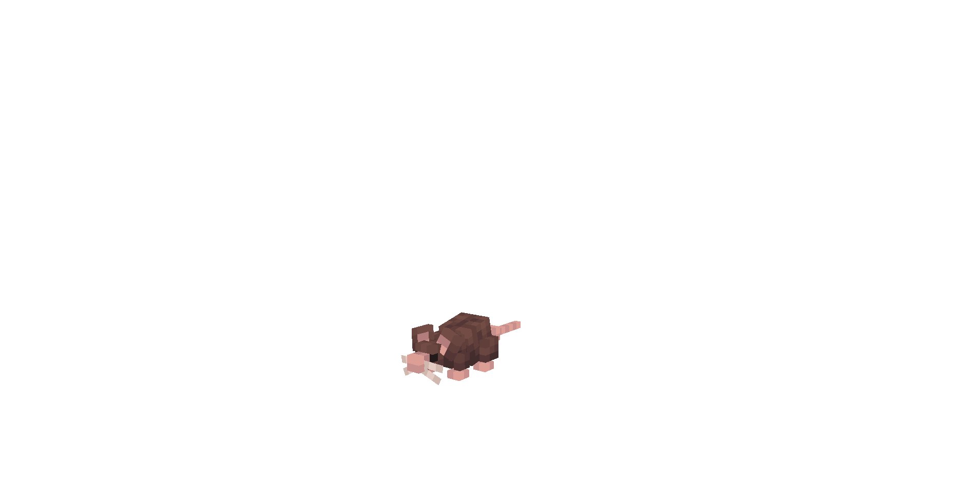 Rat