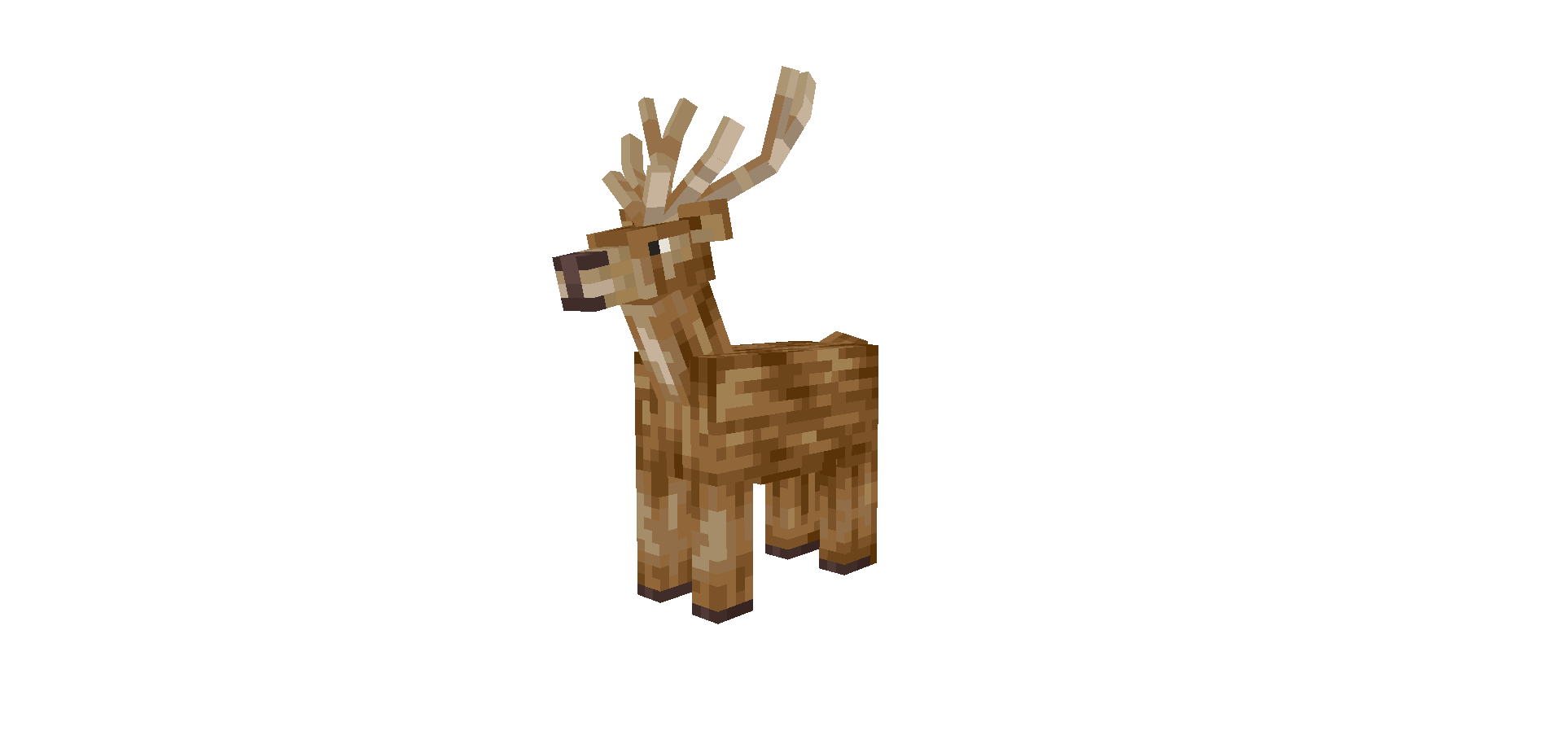 Deer