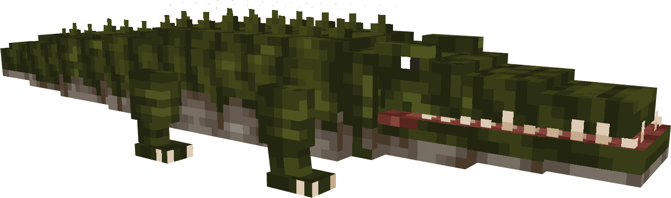 Crocodile