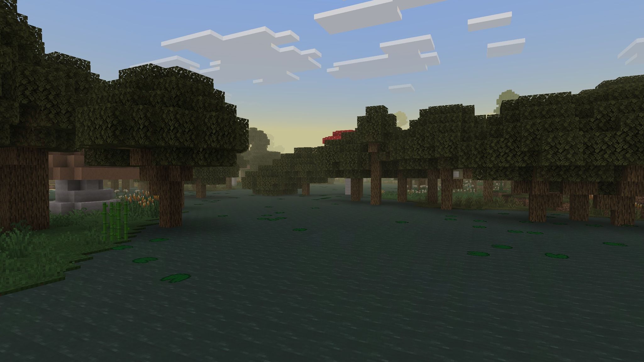 Swamp