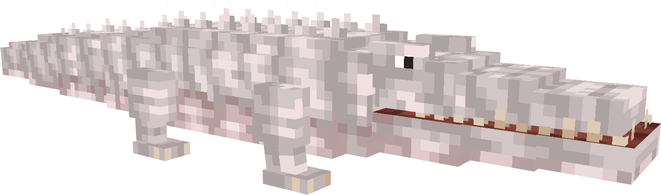 Crocodile
