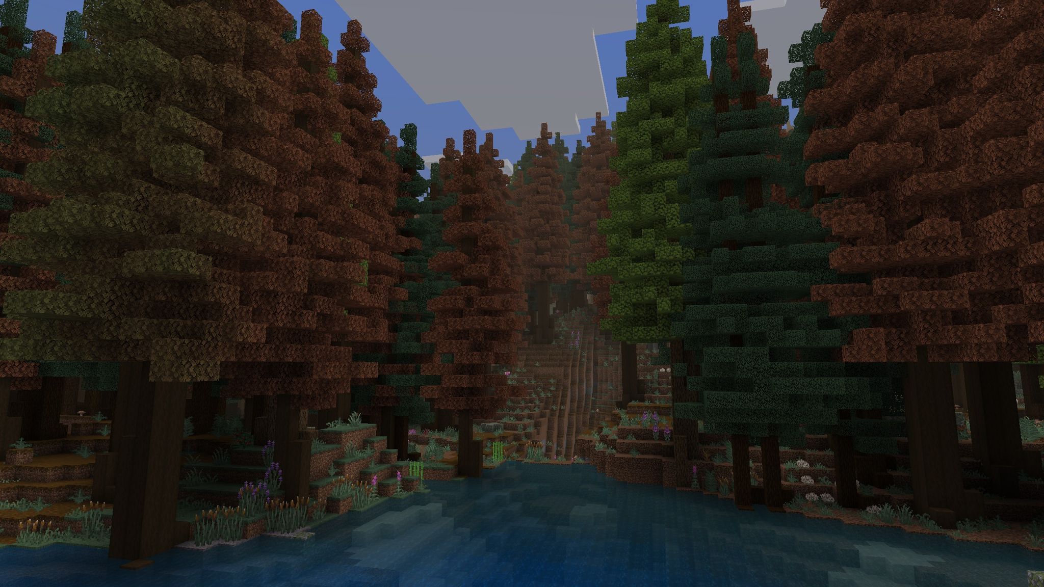 Redwood Taiga Mutated