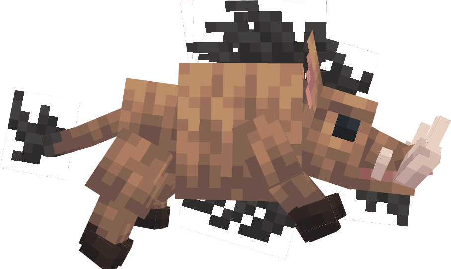 Boar